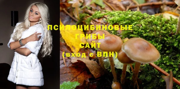 прущие крисы Армянск