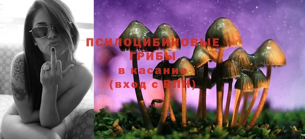 прущие крисы Армянск