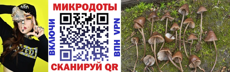 закладки  Белорецк  Галлюциногенные грибы Psilocybe 
